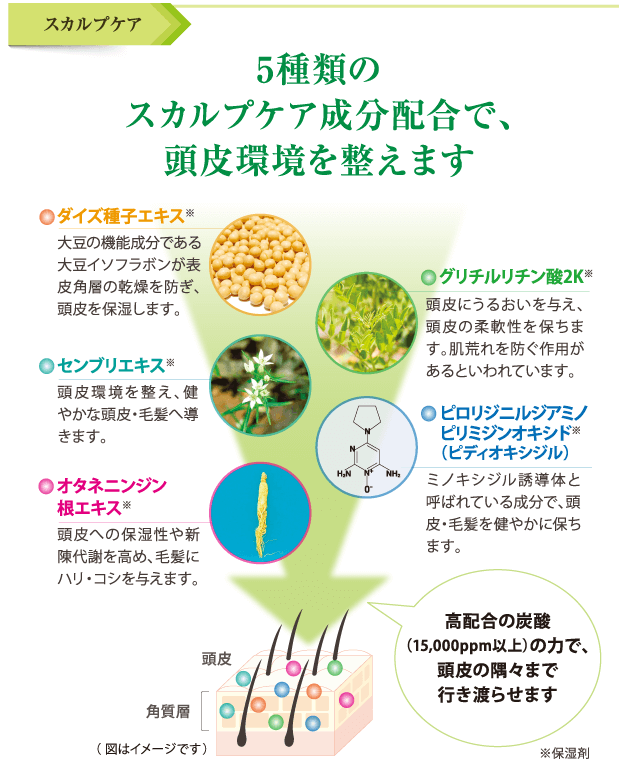 スカルプケア - 5種類のスカルプケア成分配合で頭皮環境を整えます